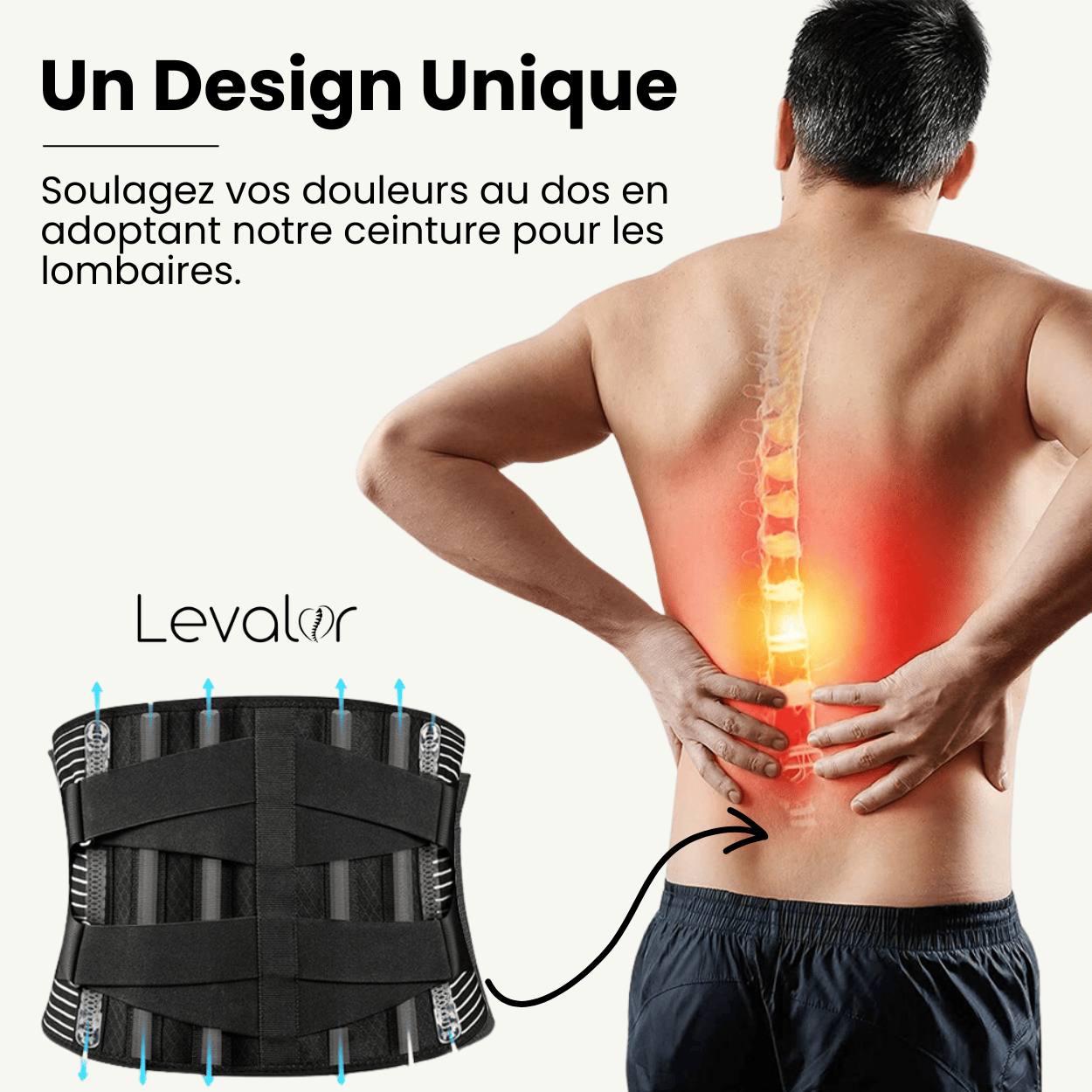 Coussin de dos Bas du dos XL – Coussin d'assise Orthopédique – Support  dorsal –